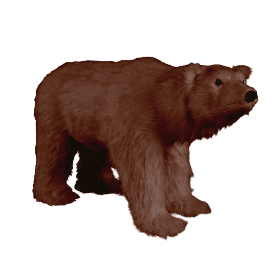 143CM OSO SEBAS