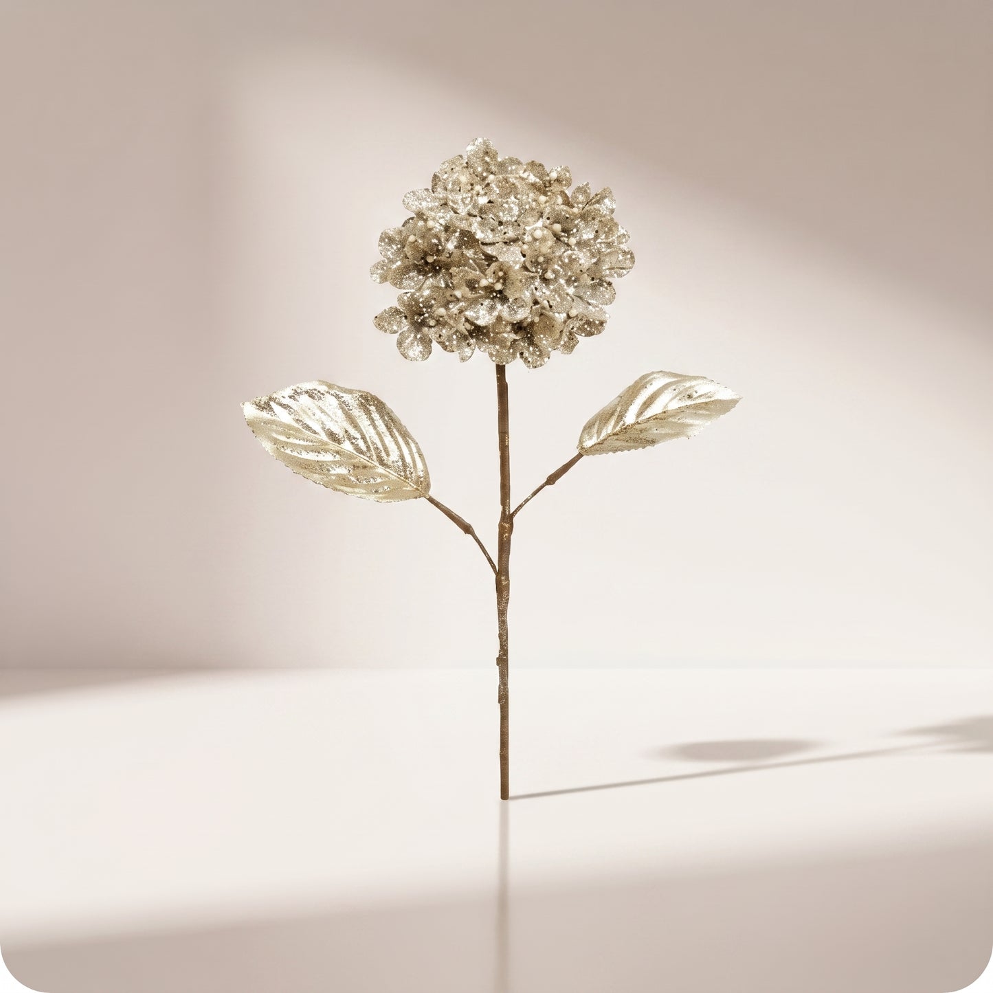 Rama de hortensia