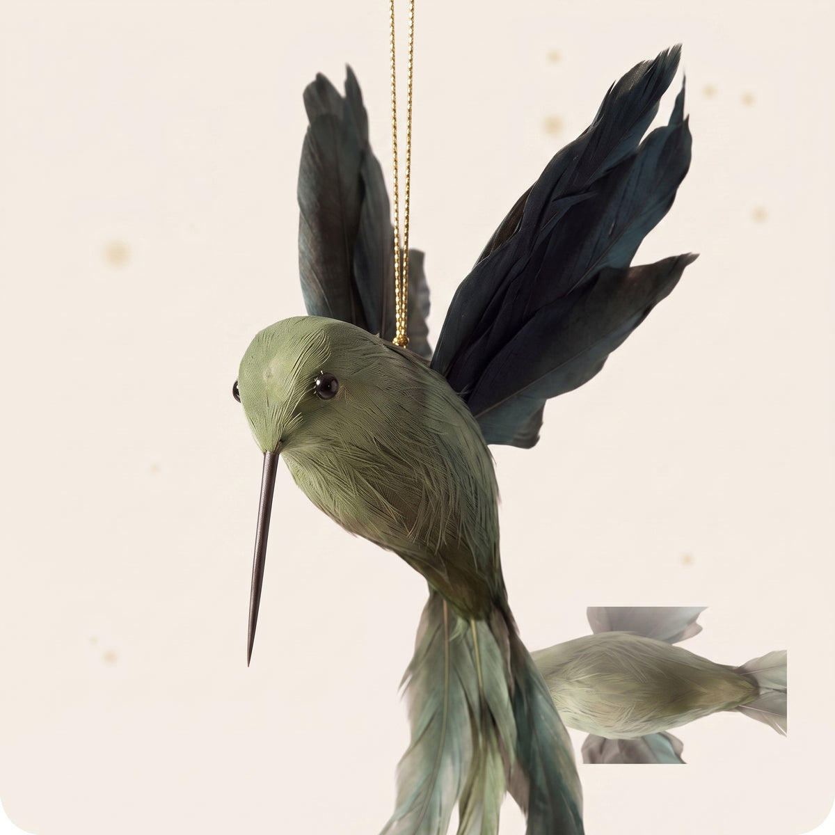 Pluma verde colibrí