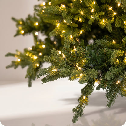 Árbol verde realista con luz calida