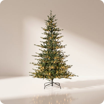 Árbol verde strahorn fir con luz led