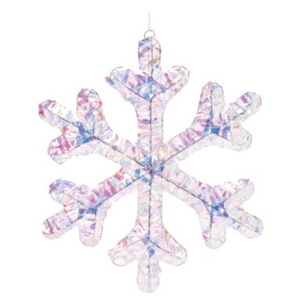 ESFERA COPO DE NIEVE DE LUZ LED USA 3 BATERIAS AA 41 CM
