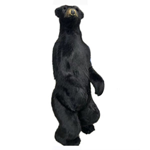 185H OSO HENRY NEGRO