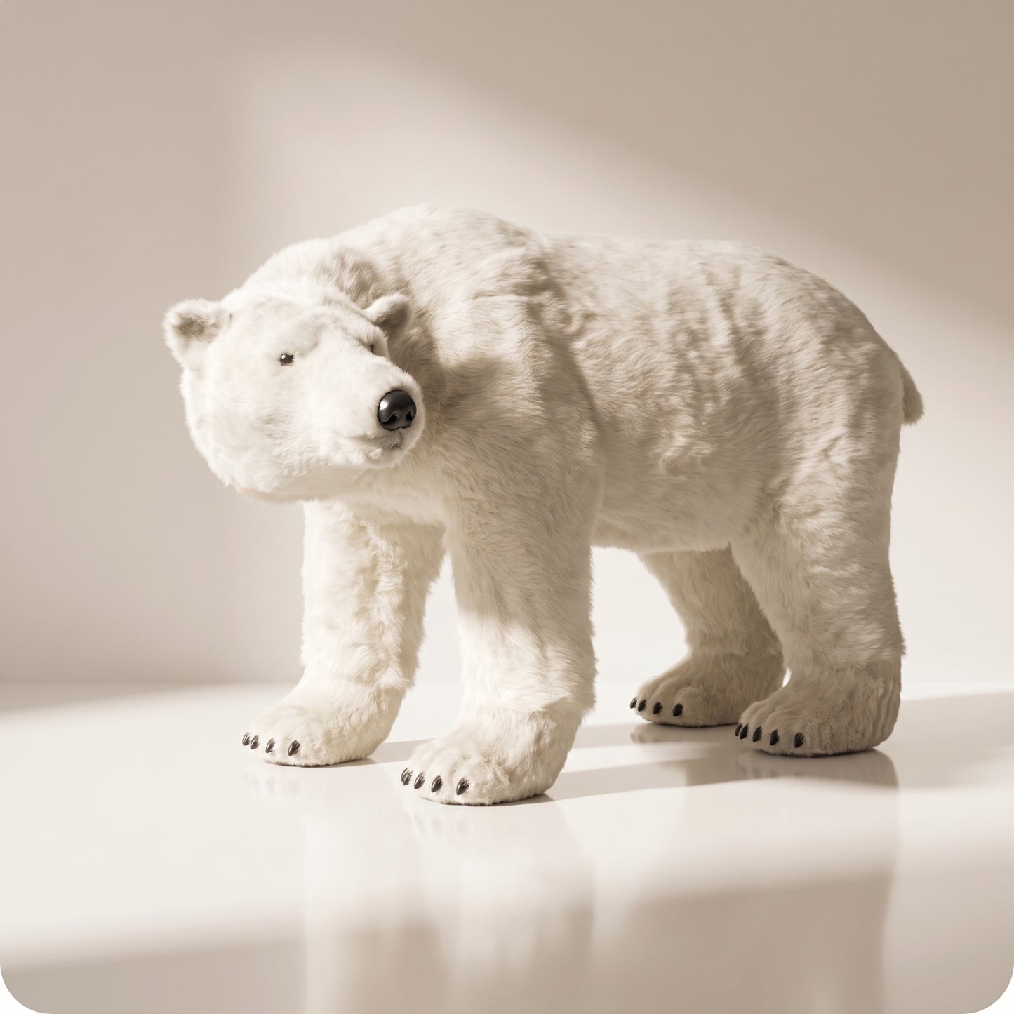 Oso polar bella sin movimiento