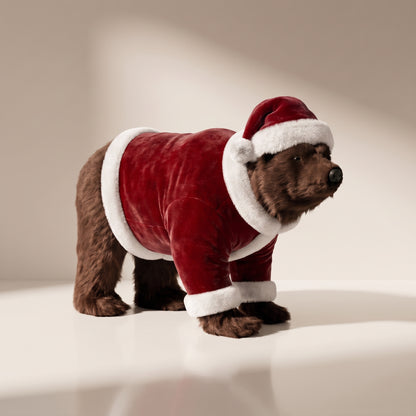 Oso Sebas Santa