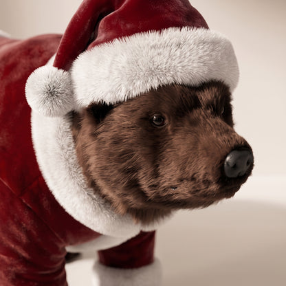 Oso Sebas Santa