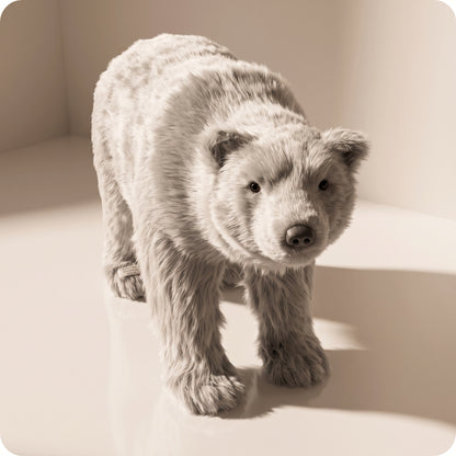 Oso polar pequeño sebas