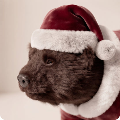 Oso Max Santa