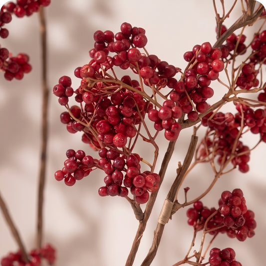 Red Berry Spray