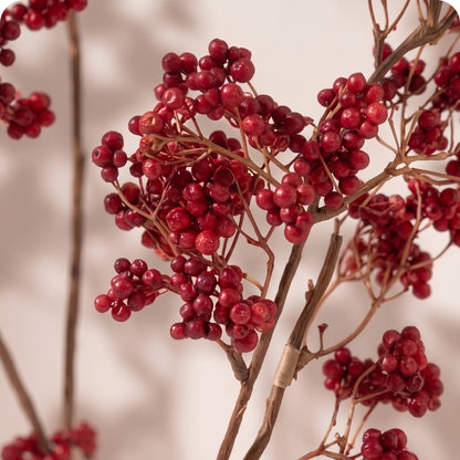 Red Berry Spray