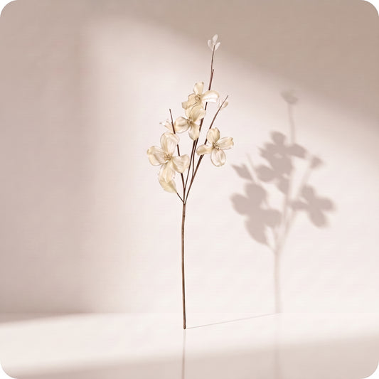 Vara velvet dogwood