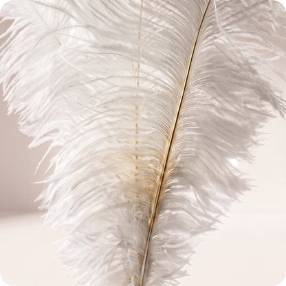 Vara de plumas blancas