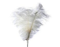 VARA DE PLUMAS BLANCAS CON DORADO 56 CM
