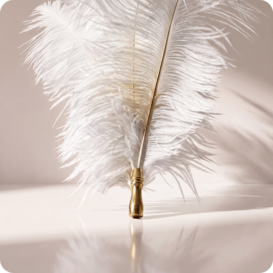 Vara de plumas blancas