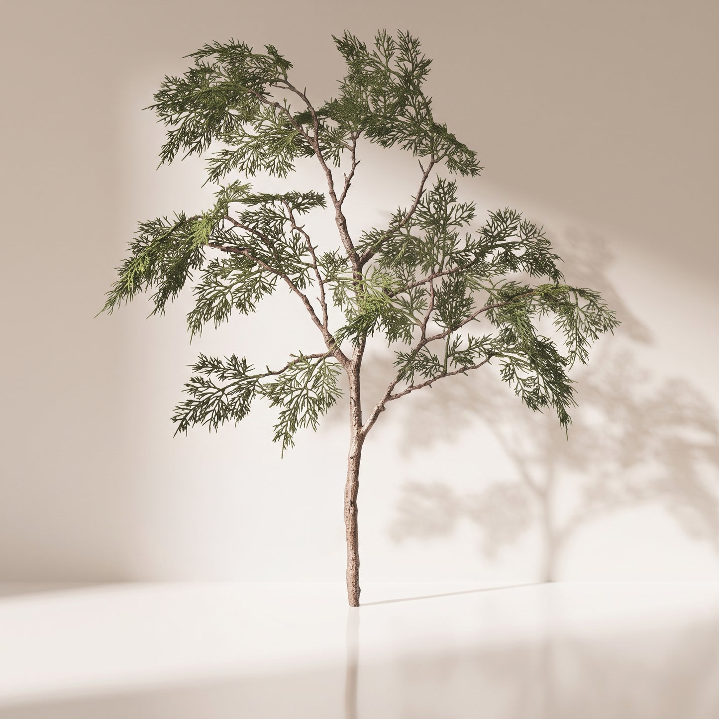 Rama woodland cedar spray