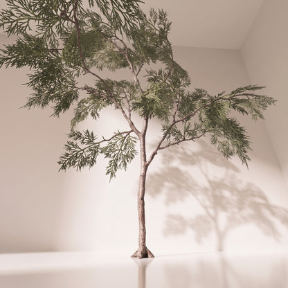 Rama woodland cedar spray