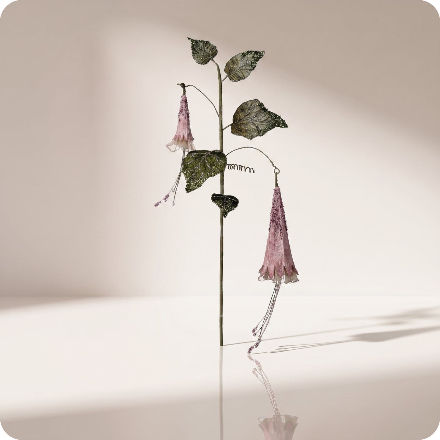 Rama de hoja morning glory