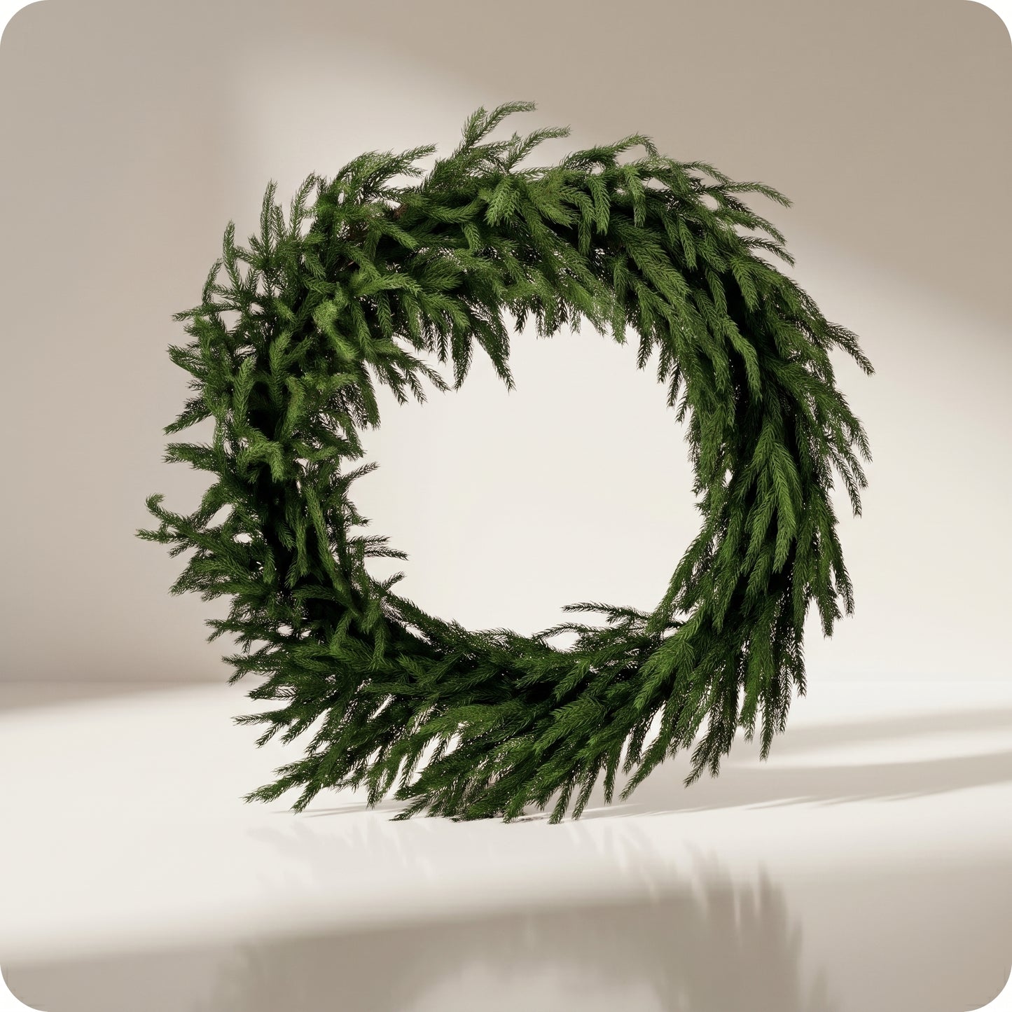 Real touch forest norfolk corona de pino