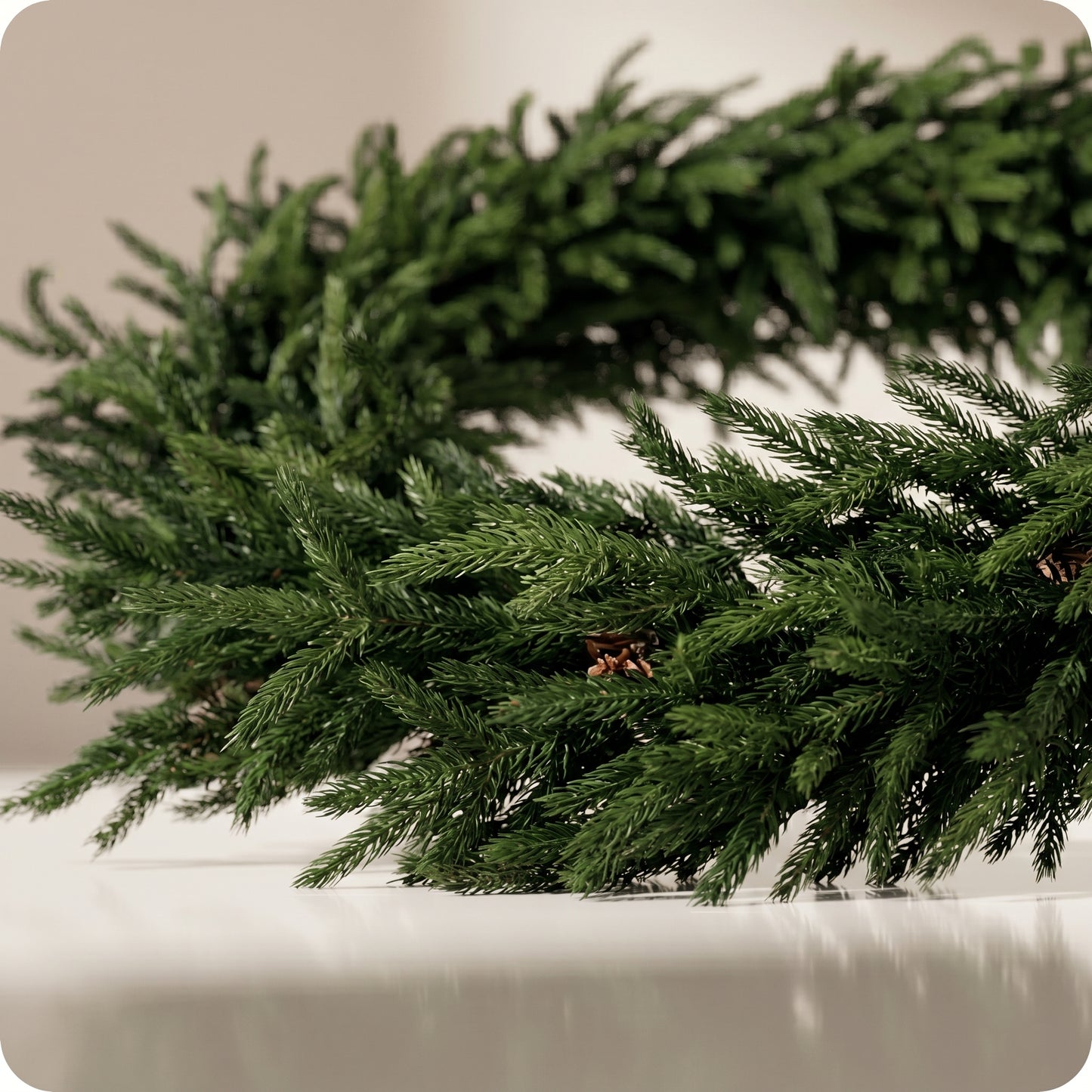 Real touch forest norfolk corona de pino