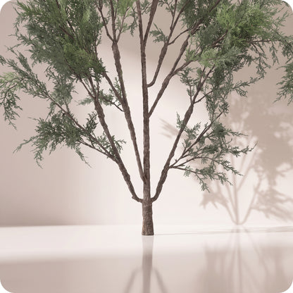 Rama tipo natural cedar