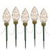 LUCES LED CON ESTACA WmWti C9 5Pc . 22 CM