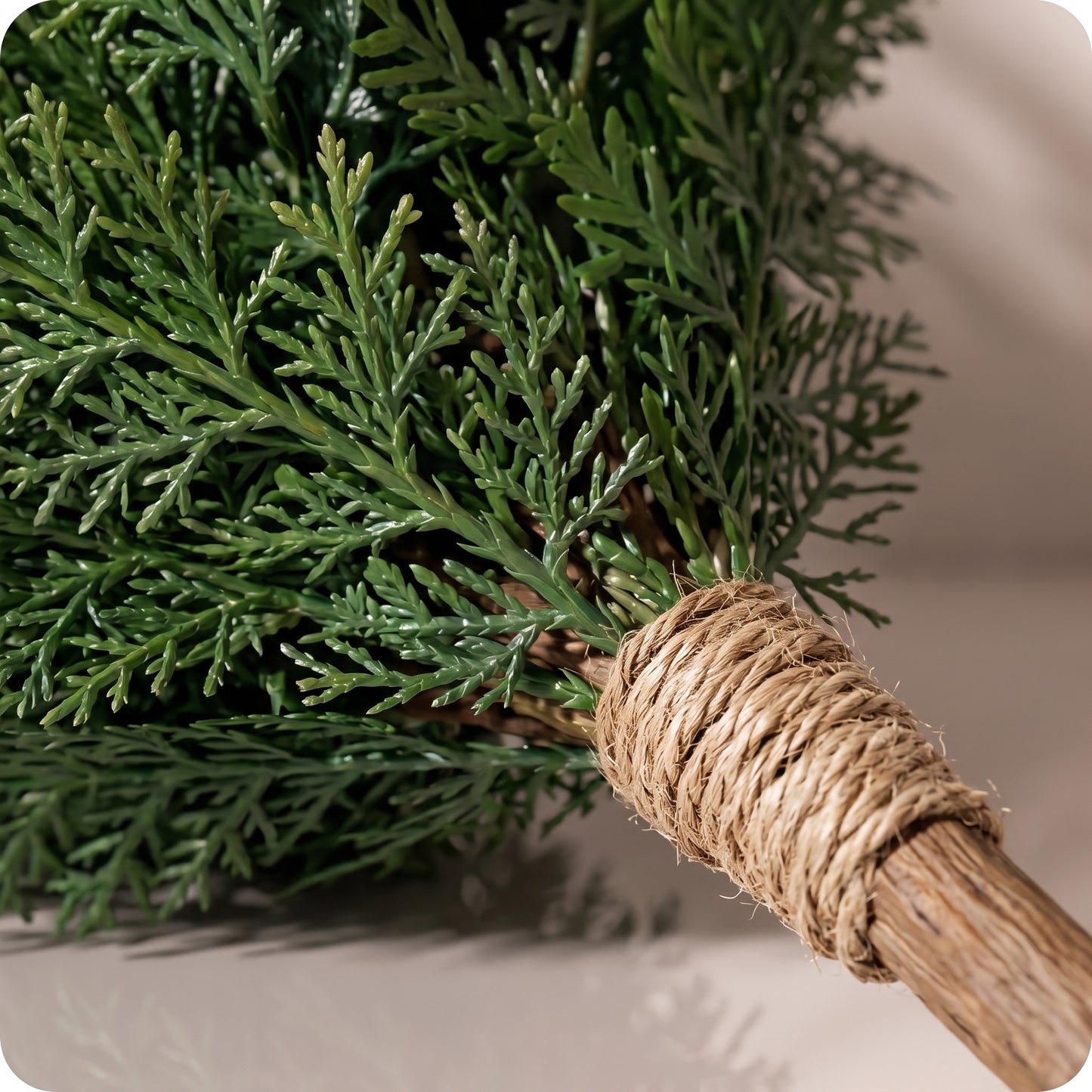 Rama verde de arborvitae bundle with jute tie